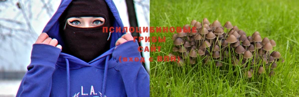 jwh Гусев