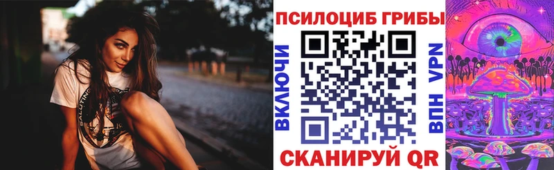 Псилоцибиновые грибы ЛСД  Купить закладки  Новочебоксарск 