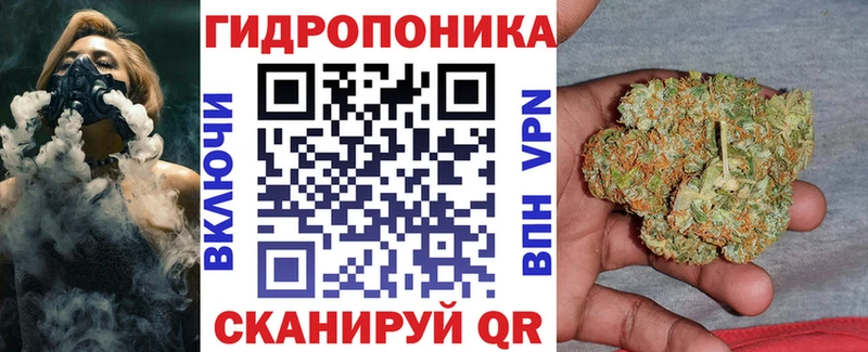 Шишки марихуана конопля  Купить закладки  Новочебоксарск 